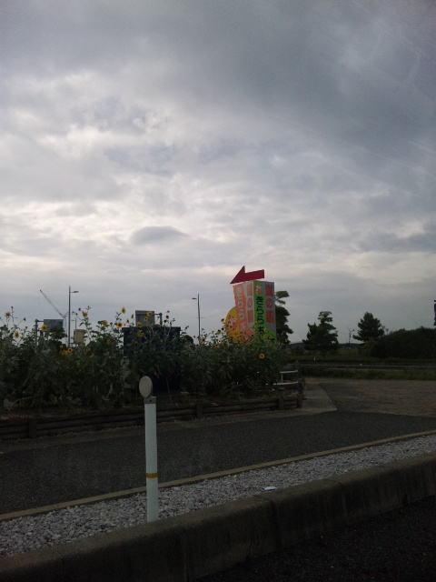 d0073587_80354.jpg