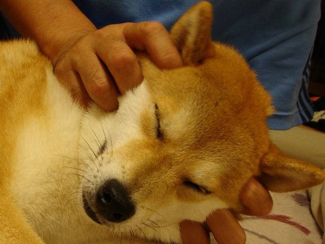 手紙_a0126590_21474215.jpg