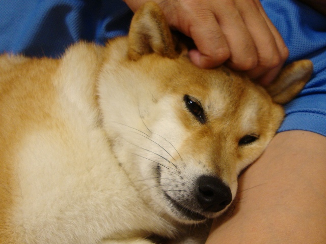 手紙_a0126590_21483357.jpg
