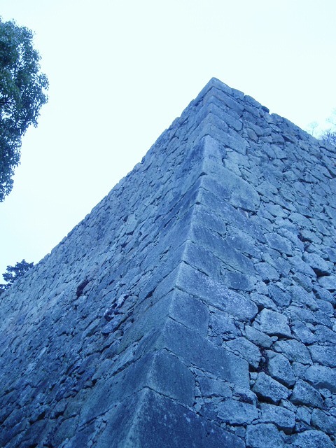 e0196993_545646.jpg