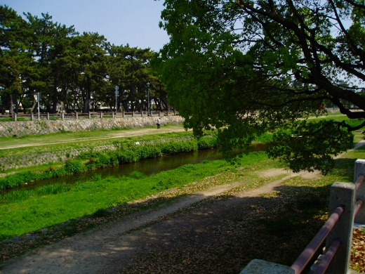 e0196993_635575.jpg