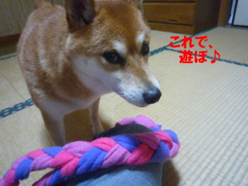 e0131506_2243897.jpg