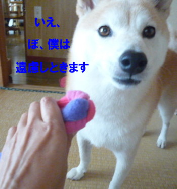 e0131506_224618100.jpg