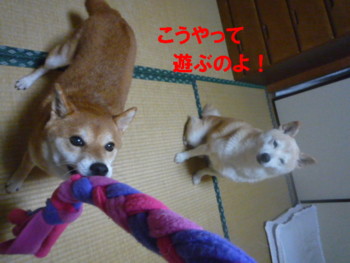 e0131506_22493559.jpg