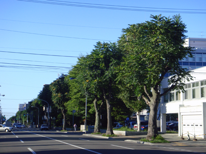 f0160407_61102.jpg