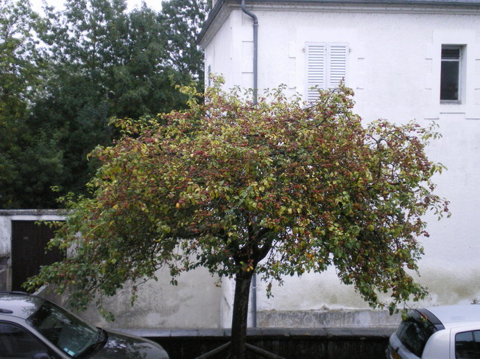 c0124619_15292182.jpg