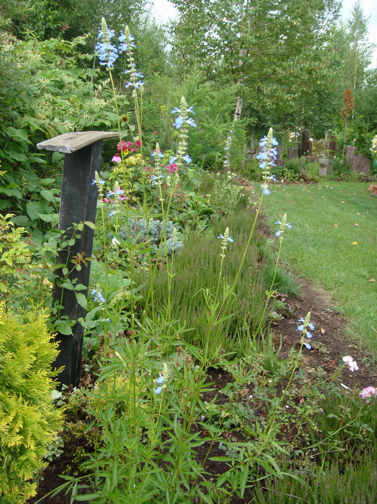 d0143719_1426171.jpg