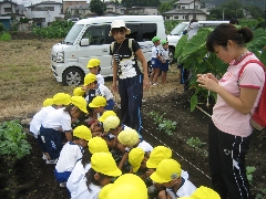 9月4日(年少 ブロッコリー苗植え)_d0091723_21301278.jpg