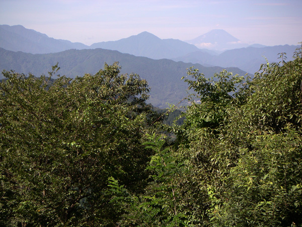 a0068424_9132930.jpg