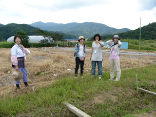 白山地区に今月最初のワークステイに三人の女性が来られました_e0061225_16535862.jpg