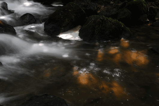 c0093046_7284495.gif