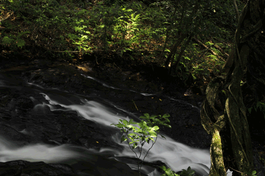 c0093046_7292229.gif