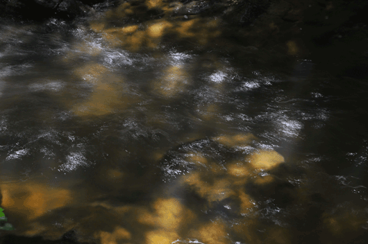 c0093046_729485.gif