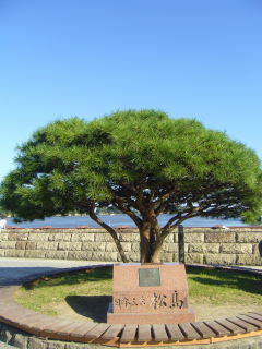 仙台（松島）旅行_e0110047_13204966.jpg