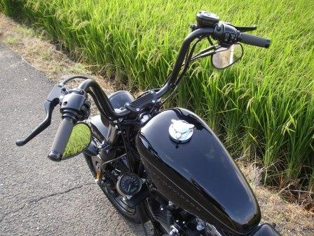 2009XL1200N　ナイトスターボルトオンカスタム_c0133351_2041529.jpg