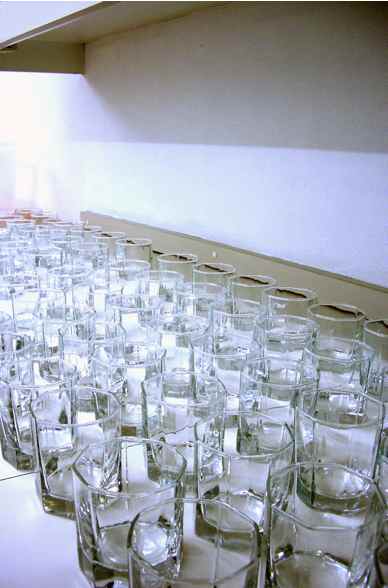 d0047851_83263.jpg