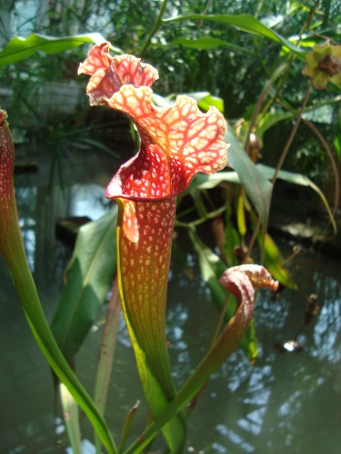 c0118352_55215.jpg