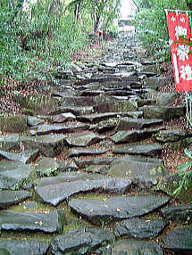 東霧島神社_d0082655_15433824.jpg