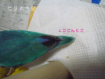 e0147757_23544352.jpg