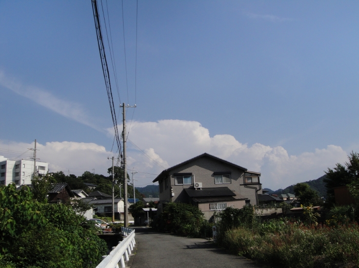 c0108460_17345222.jpg