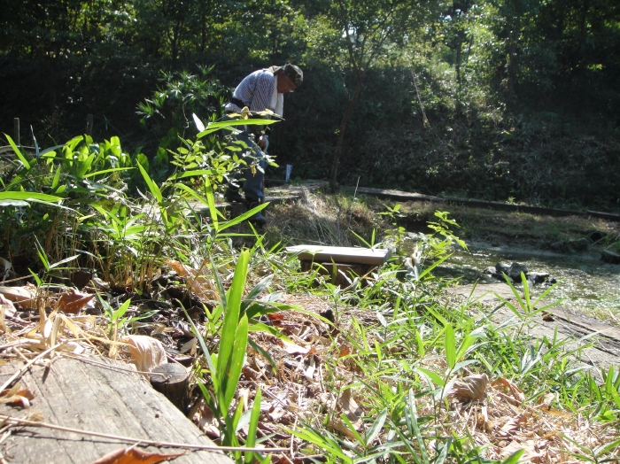 c0108460_1737636.jpg