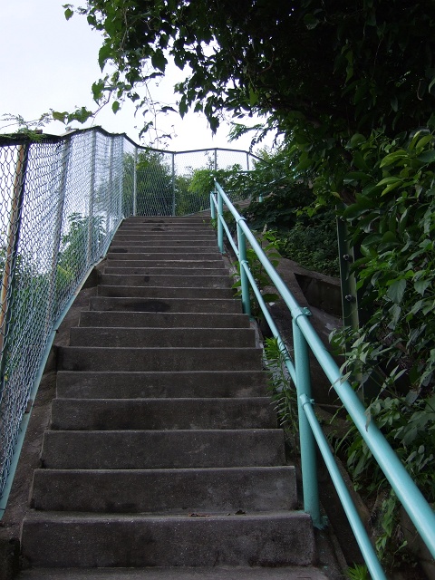 b0095061_816449.jpg