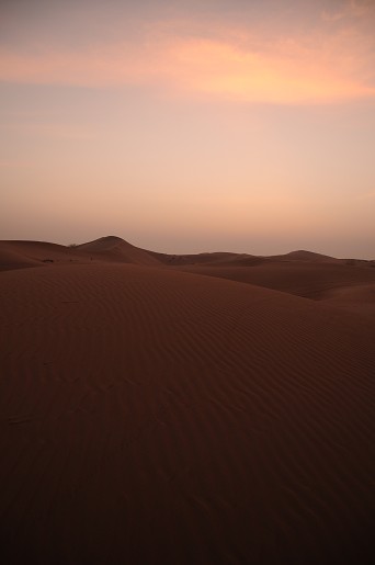 e0066474_23313053.jpg