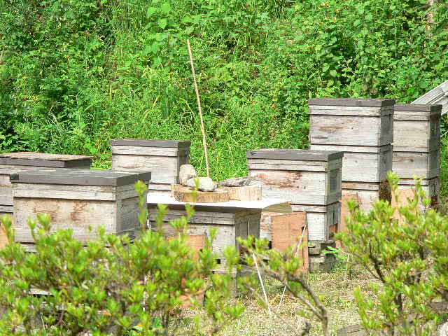 f0185981_13562688.jpg