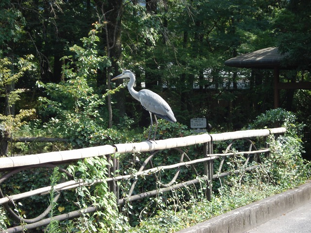 c0140982_1626378.jpg