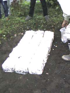 e0036983_723309.jpg