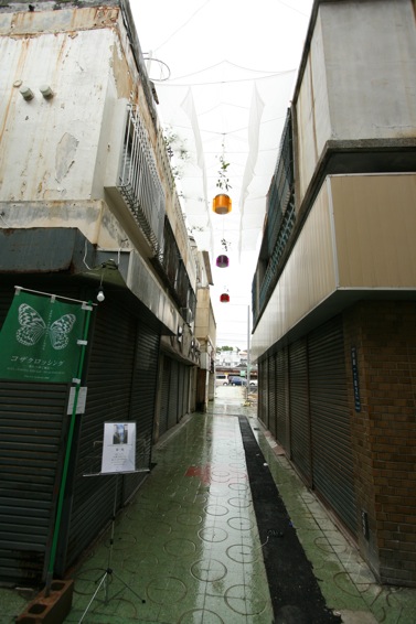 d0097288_128257.jpg