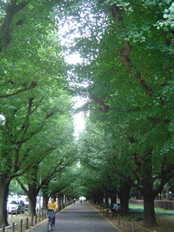 c0200290_20522427.jpg