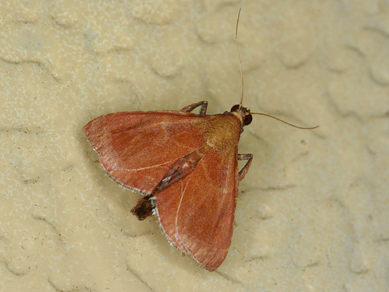 f0204094_8542472.jpg