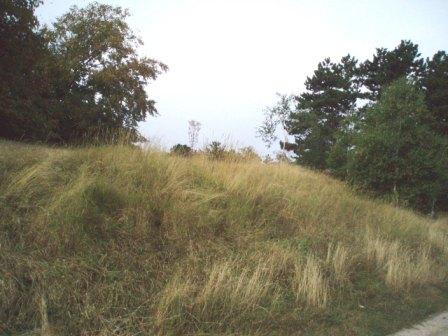 c0187498_1694462.jpg