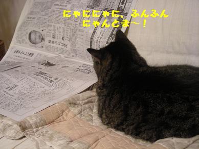 f0081100_10515898.jpg