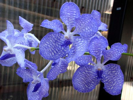 d0007501_1240104.jpg
