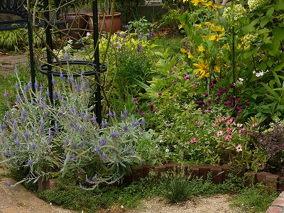 a0123003_1412138.jpg