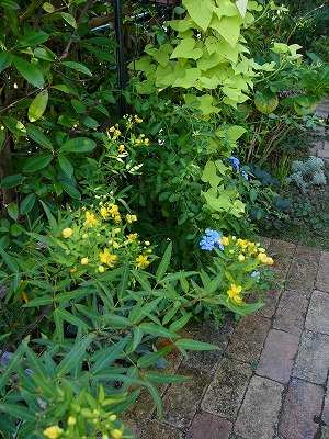 a0123003_14311080.jpg
