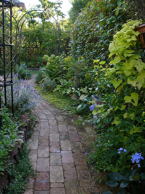 a0123003_14383859.jpg