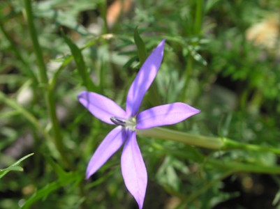 c0156104_22194240.jpg