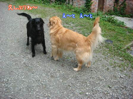 2年ぶりの再会で_f0064906_172637100.jpg