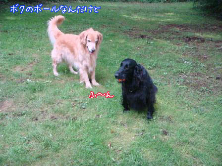 2年ぶりの再会で_f0064906_17284075.jpg