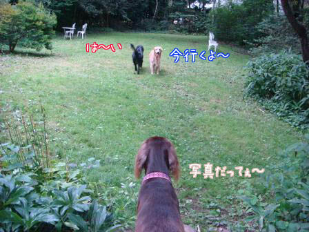 2年ぶりの再会で_f0064906_17291131.jpg