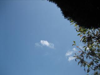 f0077807_15215550.jpg