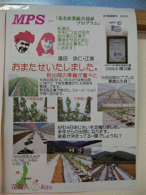 秋出荷にむけて、、_d0099708_20483638.jpg