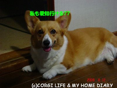 c0153410_8293245.jpg
