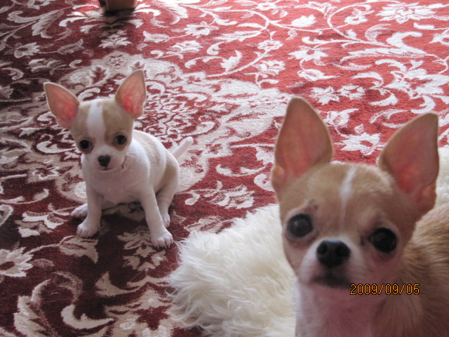 c0200916_14285928.jpg