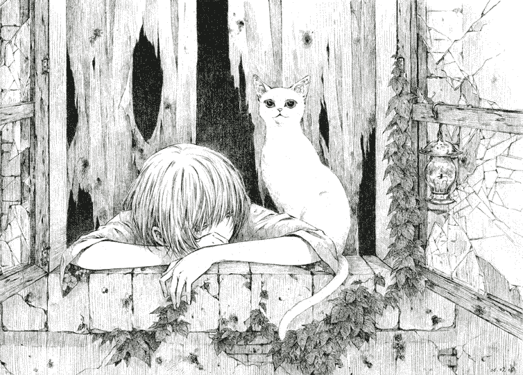鳩