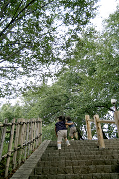 b0082119_1375420.jpg