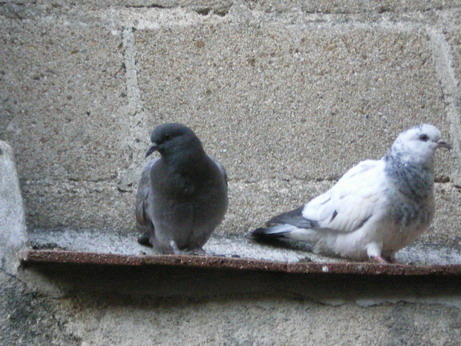 c0124619_1521325.jpg